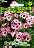 Gilia tricolor - Dreifarbige Gilie