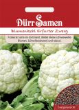 Blumenkohl "Erfurter Zwerg" - Brassica oleracea var. botrytis