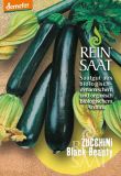 Zucchini "Black Beauty" - Cucurbita pepo (Bio-Samen)