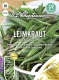 Leimkraut - Silene vulgaris