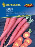 Mhren "Rubyprince F1" - Daucus carota