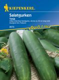 Salatgurke "Tanja" - Cucumis sativus