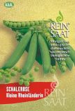 Schalerbse "Kleine Rheinlnderin" - Pisum sativum (Bio-Samen)