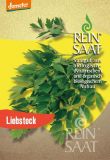 Liebstock - Levisticum officinale (Bio-Samen)