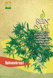 Bohnenkraut, einjhriges - Satureja hortensis (Bio-Samen)