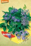 Borretsch - Borago officinalis (Bio-Samen)