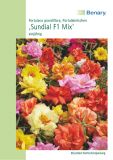 Portulaca grandiflora "Sundial F1 Mix" - Portulakrschen