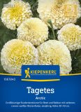 Tagetes erecta "Arctic" - Studentenblume