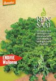 Endiviensalat "Wallone" - Cichorium endivia (Bio-Samen)