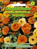 Calendula officinalis "Gitana Mischung" - Ringelblume