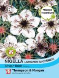 Nigella papillosa "African Bride" - Jungfer im Grnen