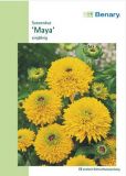 Rudbeckia hirta "Maya" - Sonnenhut