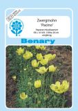 Papaver myabeanum "Pacino" - Zwergmohn