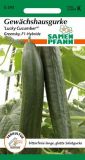 Salatgurke "Lucky Cucumber F1 ("Greensky")" - Cucumis sativus