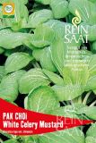 Pak Choi "White Celery Mustard" - Brassica rapa var. chinensis (Bio-Samen)