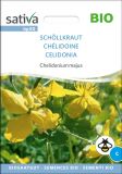 Chelidonium majus - Schllkraut (Bio-Samen)