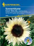 Helianthus annuus "ProCut White Nite" - Sonnenblume