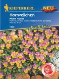 Viola cornuta "Helen Mount" - Hornveilchen