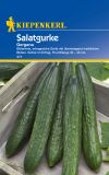 Salatgurke "Gergena" - Cucumis sativus