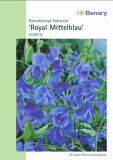 Lathyrus odoratus "Royal Mittelblau" - Riesenblumige Edelwicke