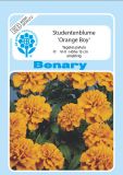 Tagetes patula "Orange Boy" - Studentenblume