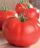 Fleischtomate "Supersteak F1" - Solanum lycopersicum