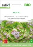 Winter-Kopfsalat "Baquieu" - Lactuca sativa (Bio-Samen)