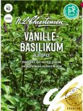 Basilikum, Vanille- "Blue Spice" - Ocimum americanum x basilicum