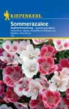 Godetia grandiflora "Mischung" - Sommerazalee