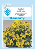 Erysimum suffructicosum "Goldstaub" - Goldlack, Schterich