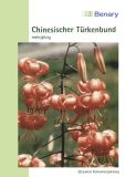 Lilium willmottiae - Chinesischer Trkenbund