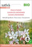 Gaura lindheimeri - Prachtkerze (Bio)