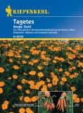 Tagetes patula "Single Gold" - Studentenblume, Nematodenkiller