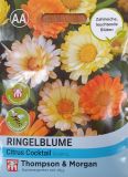 Calendula officinalis "Citrus Cocktail Mixed" - Ringelblume