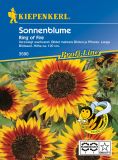 Helianthus annuus "Ring of Fire" - Sonnenblume