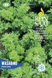 Asia-Salat "Wasabino" - Brassica juncae