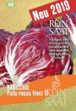 Radicchio "Palla Rossa Vinci TT" - Cichorium intybus (Bio-Samen)