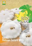 Krbis "Custard White" - Cucurbita pepo (Bio-Samen)