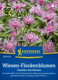 Centaurea jacea - Wiesen-Flockenblume