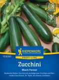 Kletterzucchini "Black Forest F1" - Cucurbita pepo