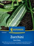 Zucchini "Bush Baby F1" - Cucurbita pepo