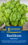 Basilikum "Napolitana" - Ocimum basilicum