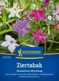 Nicotiana x sanderae "Sensations Mischung" - Ziertabak