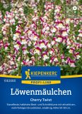 Antirrhinum majus "Cherry Twist" - Lwenmulchen