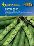 Puffbohne - Dicke Bohne "Hangdown Grnkernig" - Vicia faba