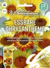 Essbare Chrysantheme / Speisechrysantheme - Glebionis coronaria