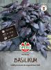 Basilikum "Bordeaux" - Ocimum basilicum