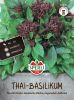 Basilikum Thai / Thaibasilikum - Ocimum basilicum