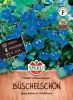 Phacelia campanularia "Bienenfreund" - Glockenblumen-Bschelschn