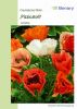 Papaver orientale "Pizzicato Mischung" - Trkischer Mohn